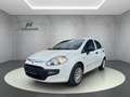 Fiat Punto Evo Active Klima ZV Weiß - thumbnail 8