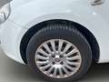 Fiat Punto Evo Active Klima ZV Weiß - thumbnail 17