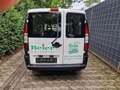 Fiat Doblo 1.6 16V Kasten SX,Servo,TÜV,80tkm,Sauber,1-Hand Weiß - thumbnail 7