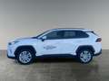 Toyota RAV 4 Active Drive 2,5, 222 PS 4x4 Hybrid Weiß - thumbnail 2