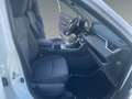Toyota RAV 4 Active Drive 2,5, 222 PS 4x4 Hybrid Weiß - thumbnail 12