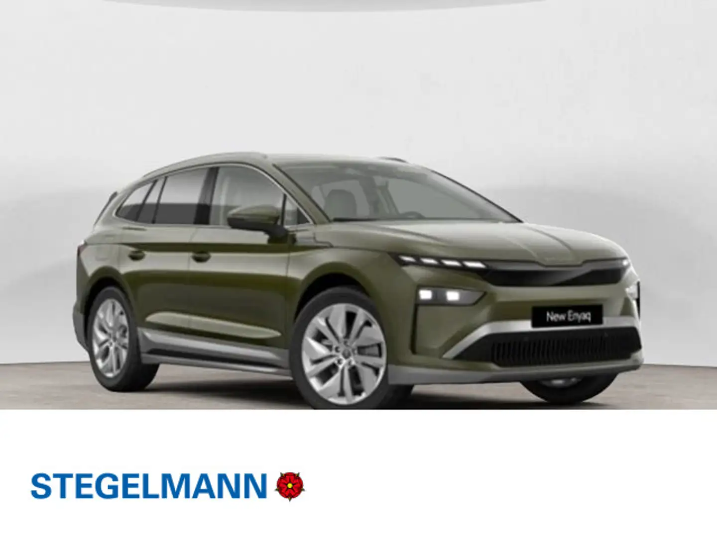 Skoda Enyaq 60 Matrix*Wärmepumpe*AHK*Kamera Grün - 1