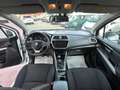 Suzuki S-Cross S-Cross 1.6 DDiS Start&Stop 4WD Weiß - thumbnail 13