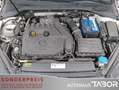 Volkswagen Golf VII 1.5 TSI SoundPlus ACC Dig.Tacho Nav App Weiß - thumbnail 13