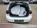 Volkswagen Golf VII 1.5 TSI SoundPlus ACC Dig.Tacho Nav App Weiß - thumbnail 11