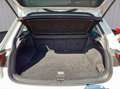 Volkswagen Tiguan Tiguan 2.0 TDI BMT Highline, AHK, LED, ACC, Navi Blanc - thumbnail 19