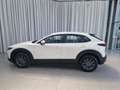 Mazda CX-30 2.5L G140PS 6MT 2WD Prime - Line Weiß - thumbnail 7