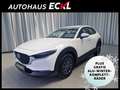 Mazda CX-30 2.5L G140PS 6MT 2WD Prime - Line Weiß - thumbnail 1