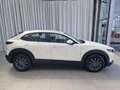 Mazda CX-30 2.5L G140PS 6MT 2WD Prime - Line Weiß - thumbnail 4