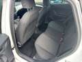 SEAT Ibiza Xcellence Weiß - thumbnail 10