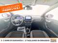 Ford Puma 1.0 ecoboost h titanium x s&s 125cv Rosso - thumbnail 10
