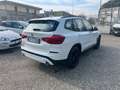 BMW X3 xdrive 20d Business Advantage 190cv auto Bianco - thumbnail 4