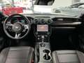 Ford Mustang 2,3l EcoBoost * Auto / Leder/ SHZ * Alb - thumbnail 12