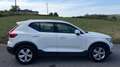Volvo XC40 D3 Business Plus AWD Blanco - thumbnail 6