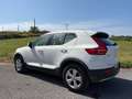 Volvo XC40 D3 Business Plus AWD Blanco - thumbnail 8