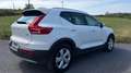 Volvo XC40 D3 Business Plus AWD Blanco - thumbnail 7