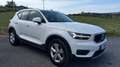 Volvo XC40 D3 Business Plus AWD Blanco - thumbnail 4