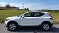 Volvo XC40 D3 Business Plus AWD Blanco - thumbnail 5