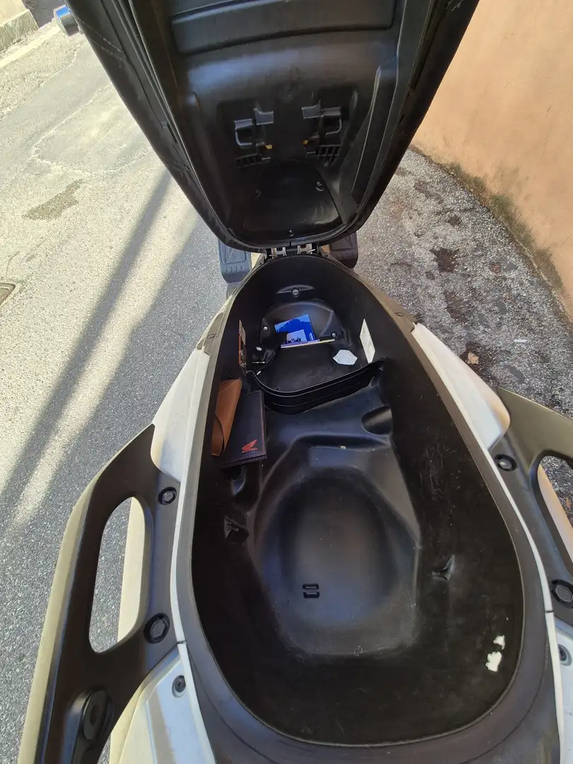 Honda Forza 125 ABS Bianco - 2