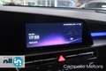Kia Niro Niro 1.6 GDi DCT HEV Evolution GPL Bleu - thumbnail 8