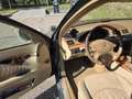 Mercedes-Benz E 280 E 280 T CDI (211.220) Grün - thumbnail 5