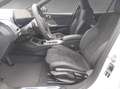 BMW 116 M Sport RFK Komforzugang ParkAss Blanc - thumbnail 9