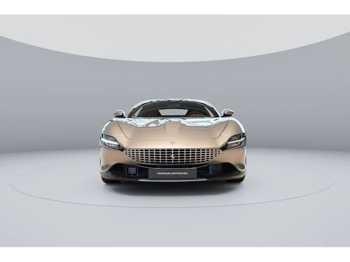 Ferrari Roma >GRIGIO TITANIO*SHIELDS*FULL PPF< Grau - 2