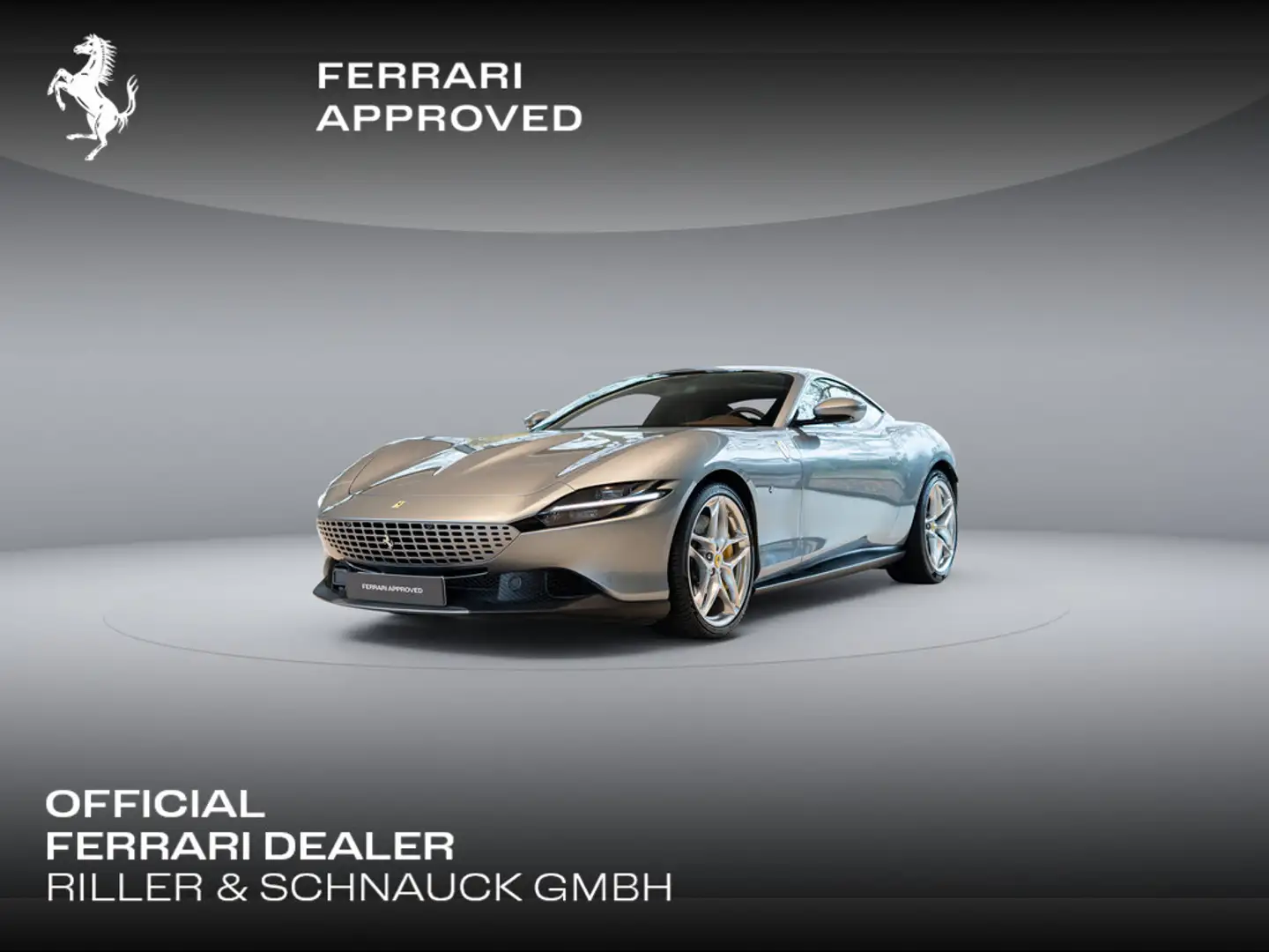 Ferrari Roma >GRIGIO TITANIO*SHIELDS*FULL PPF< Grau - 1