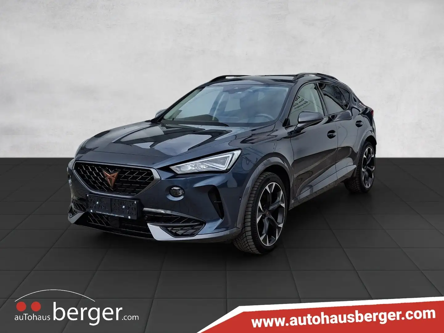 CUPRA Formentor 1.5 TSI 150 PS ACT Grau - 2