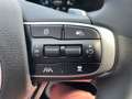 Kia Sportage 1,6 TGDI 48V Anniversary  AWD DCT Grau - thumbnail 20