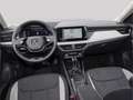 Skoda Kamiq First Edition 1.5 TSI Kamera Navi DSG Rot - thumbnail 9