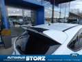 Ford Focus RS ALLRAD|NAVI|WINTER PK|BI-XENON| Weiß - thumbnail 13