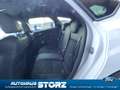 Ford Focus RS ALLRAD|NAVI|WINTER PK|BI-XENON| Weiß - thumbnail 11