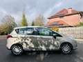 Ford B-Max B-Max 1.6i Ti-VCT Champions Edition PowerShift - thumbnail 2