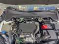 Ford Focus Sb. 1.5TDCi Business 120 Blanco - thumbnail 17
