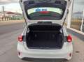 Ford Focus Sb. 1.5TDCi Business 120 Blanco - thumbnail 10