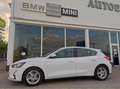 Ford Focus Sb. 1.5TDCi Business 120 Blanco - thumbnail 5