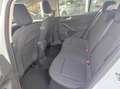 Ford Focus Sb. 1.5TDCi Business 120 Blanco - thumbnail 11