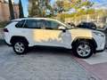 Toyota RAV 4 2.5 hybrid 2WD Business Blanc - thumbnail 10