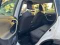 Toyota RAV 4 2.5 hybrid 2WD Business Blanc - thumbnail 18
