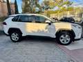 Toyota RAV 4 2.5 hybrid 2WD Business Blanc - thumbnail 8