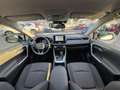 Toyota RAV 4 2.5 hybrid 2WD Business Blanc - thumbnail 17