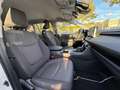 Toyota RAV 4 2.5 hybrid 2WD Business Blanc - thumbnail 14