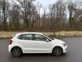Volkswagen Polo Polo 1.2 TSI 90 BMT Match Blanc - thumbnail 15