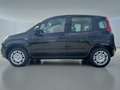 Fiat Panda 1.0 FireFly Hybrid Nero - thumbnail 6