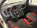 Fiat New Panda PANDA 1.2 NEOPATENTATI 69CV GARANZIA P.CONSEGNA Beige - thumbnail 11