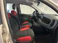 Fiat New Panda PANDA 1.2 NEOPATENTATI 69CV GARANZIA P.CONSEGNA Beige - thumbnail 15