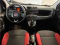 Fiat New Panda PANDA 1.2 NEOPATENTATI 69CV GARANZIA P.CONSEGNA Beige - thumbnail 14