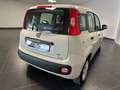 Fiat New Panda PANDA 1.2 NEOPATENTATI 69CV GARANZIA P.CONSEGNA Beige - thumbnail 9