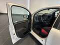 Fiat New Panda PANDA 1.2 NEOPATENTATI 69CV GARANZIA P.CONSEGNA Beige - thumbnail 10